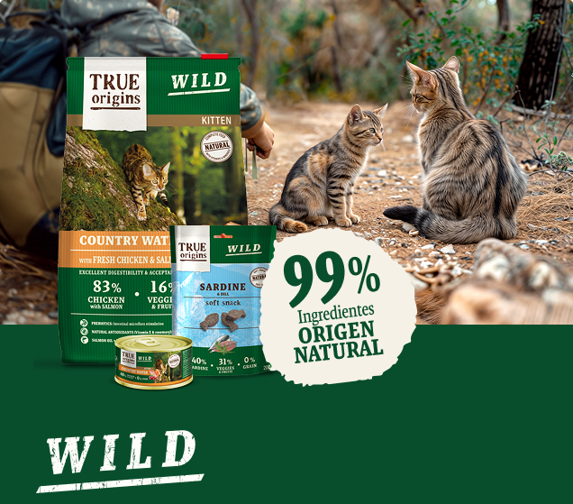 gato-cards-02 Infografía: True Origins Wild. 99% ingredientes de origen natural.