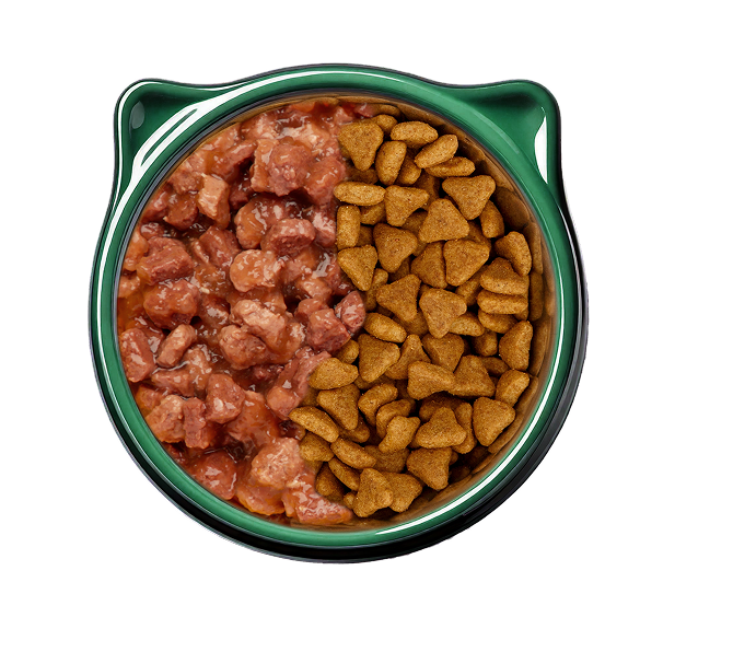 gatos-alimentacion