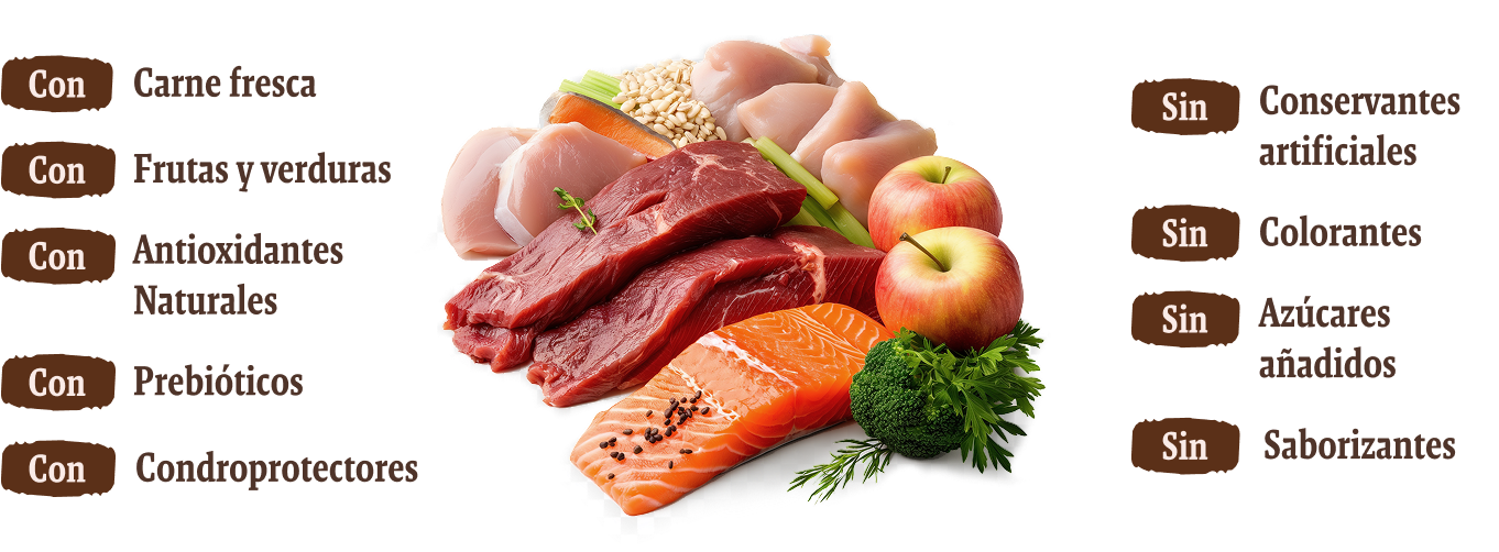 infografia-ingredientes Infografía que muestra ingredientes naturales y beneficios de un alimento. En el centro hay carne fresca, pollo, salmón, frutas y verduras. A la izquierda se indica que el producto contiene: carne fresca, frutas y verduras, antioxidantes naturales, prebióticos y condroprotectores. A la derecha se indica que no contiene: conservantes artificiales, colorantes, azúcares añadidos ni saborizantes.