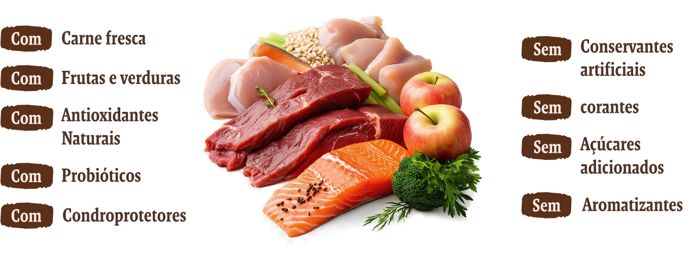 Infografia que mostra ingredientes naturais e benefícios de um alimento. No centro há carne fresca, frango, salmão, frutas e legumes. À esquerda indica-se que o produto contém: carne fresca, frutas e legumes, antioxidantes naturais, prebióticos e condroprotetores. À direita indica-se que não contém: conservantes artificiais, corantes, açúcares adicionados nem aromatizantes.